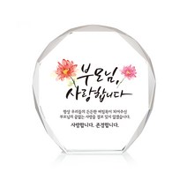 미니 크리스탈 상패, 부모님사랑