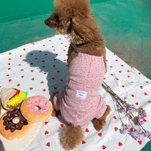 유앤펫 강아지 베베 도트 올인원, 핑크