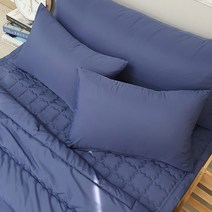이룸앤 애니 케어 알러지방지 베개커버 2p