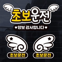 제제데코 초보운전 칼라 자동차 스티커, 초보S015, 1개