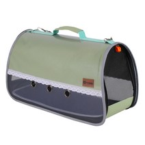 펫트롱 강아지 이동가방 PTR368, 그린