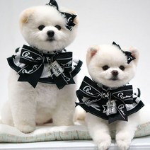 팝앤퍼피 블랙 에디션 강아지 케이프 S, 블랙 + 화이트, 소(S), 1개