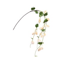 아리코 조화 마일드가든 인테리어 꽃덩굴, 샴페인