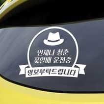 초보운전스티커 아기가타고있어요 안전 One size, 06 청춘할배02, 1개