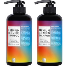에이플비 프리미엄 리텐션 샴푸, 500ml, 2개