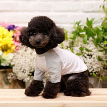펫디자인 라인 나그랑 강아지 티셔츠, 멜란지