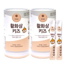 양지홍삼 활화삼 키즈, 15ml, 60개