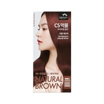 꽃을든남자 CS 먹물 칼라 염색제 새치커버용, N6(30)자연갈색, 1개