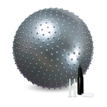 VESTA 마사지 짐볼, 그레이