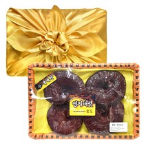 토종마을 영지버섯 선물세트 보자기포장 300g, 1개