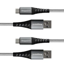 애니포트 C타입 데이터 충전 케이블 1.2m AP-USB30MC012, 실버, 2개, 120cm