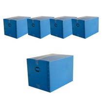 이사박스 5호, 5개, 블루
