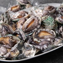 아라보감 산소 품은 국산 전복 1kg, 꼬마(35~50미), 1개