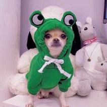 강아지 과일 개구리 후드티, 그린