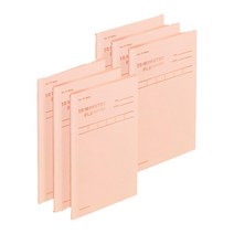 모트모트 텐미닛 플래너 31DAYS 6p, 샤인피치
