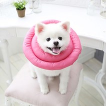 카카몽 반려동물 UFO 쿠션 넥카라 핫핑크 M