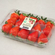 광식이농장 GAP 인증 광식이네 비타베리 딸기, 500g, 1팩
