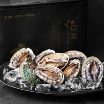 다복 활전복 선물세트, 1kg(대, 7~9마리), 1세트