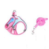 치타샾 강아지 고양이 빛반사 하네스세트, 블루핑크