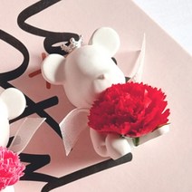 라비다 뉴 카네이션 곰돌이 석고오너먼트 레드 + 석고방향제 리필오일 3ml x 2p, 클린코튼