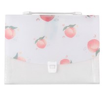 프룰리 아코디언파일 13칸 A4, 05, 1개