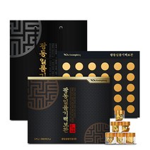 광동 일품기력보환 30p + 쇼핑백, 112.5g, 1개