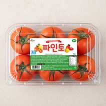 파인토(FineTo완숙) 스테비아 완숙토마토 1kg, 1개