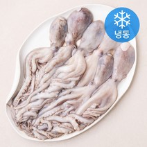 비비수산 낙지 (냉동), 1개, 850g(6미)