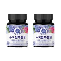 맛있는동행 수국잎추출물 36g, 60정, 2개
