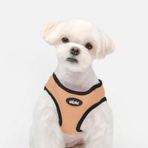 올치 강아지 야간 LED 콤비 메쉬 하네스 B형 HB6295, 베이지