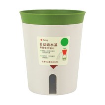모리앤 칼라 저면관수 화분, 그린
