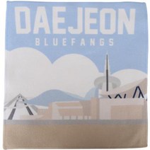 삼성화재 DAEJEON 핸드타월, 멀티컬러