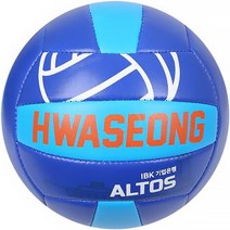 IBK기업은행 HWASEONG 배구공