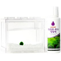 수아쿠아 마리모 키우기 세트, 투명(어항)