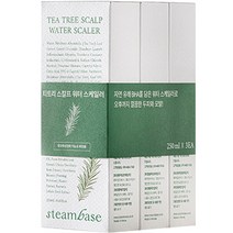 스팀베이스 티트리 스칼프 워터 스케일러, 3개, 250ml