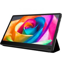 한성컴퓨터 40.1cm FHD DEX 포터블 멀티터치 모니터, TFX158T
