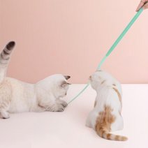 옥희독희 냥잡아봐라 고양이 실리콘 낚시대, 민트, 1개