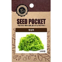 월드가드닝 행복한 텃밭 좋은 씨앗 청상추씨 2000개, 1개