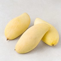 다조은 태국산 망고 3~4입, 1kg, 1개