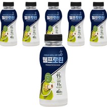 웰프로틴 녹차, 6개, 40g