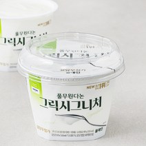 다논 그릭 시그니처 플레인 요거트 2개입, 800g, 1개