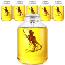 차이나다 다용도 밀폐 유리병, 5000ml, 6개