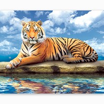 케이엠엘리홀딩스 DIY 캔버스액자 일체형 3D 원형 보석십자수 50 x 40 cm, 풍수호랑이, 1개