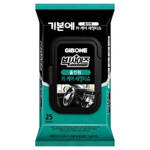 기본에 빅사이즈 올인원 카 케어 세정티슈