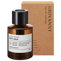지오바니 루이 차량용 디퓨저 160ml, 미스티아쿠아, 1개