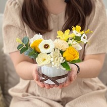 센터피스 용돈박스 M, 화이트옐로우