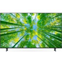 LG전자 4K UHD LED TV, 방문설치, 스탠드형, 163cm(65인치), 65UQ8300NNF