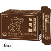 홀리데이즈 쑤욱빼 다이어트 커피맛 28p, 28포, 3.3g, 6개