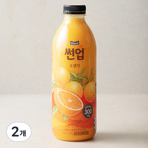 썬업 오렌지주스, 2개, 750ml