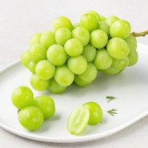 딜리조이 GAP 샤인머스캣, 500g, 1봉
